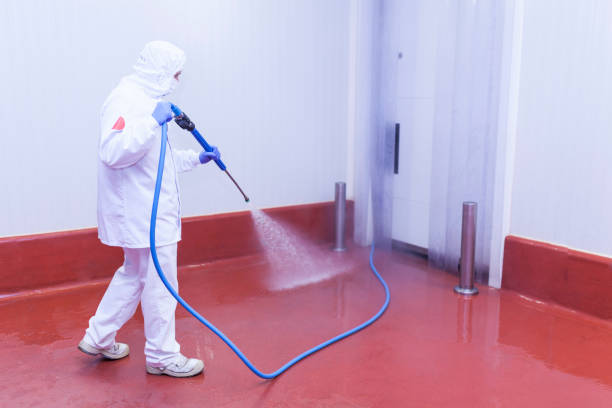 Best Warehouse Cleaning  in Mayer, MN