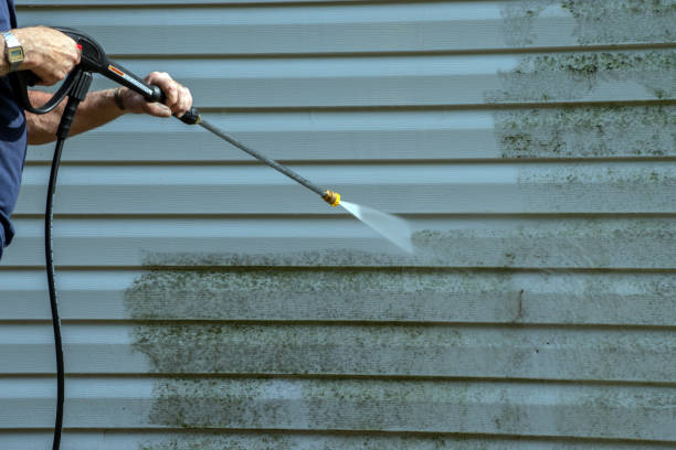Professional Pressure Washing in Mayer, MN